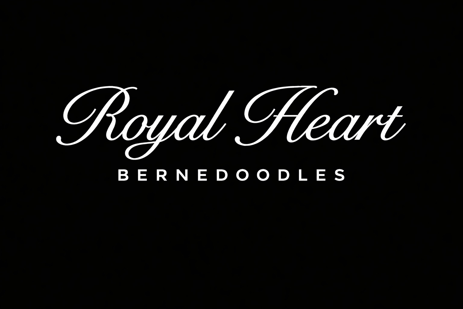 logo_royal_heart_bernedoodles